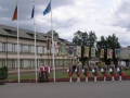 p5313546