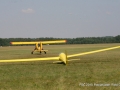 Geltonsparniai