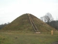 DSCN5772