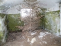 dscf0024