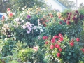 dscf0212