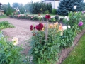 dscf0225