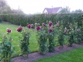 dscf0226