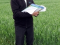Lauko diena A1