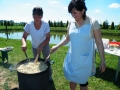 dscf5048