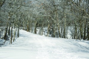 1stpage
