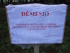 DSCF7581