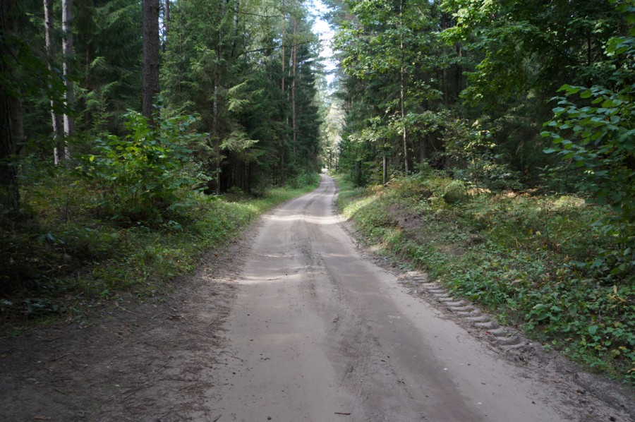 DSC01811