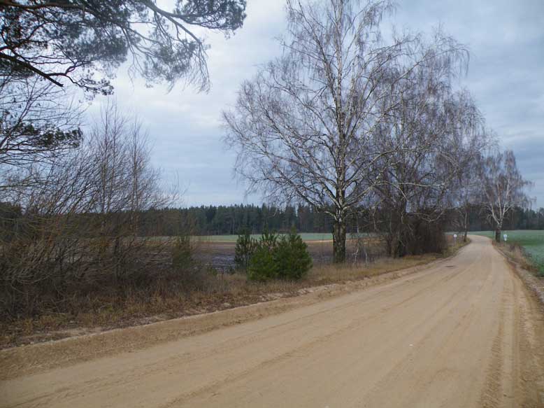 DSCF1351