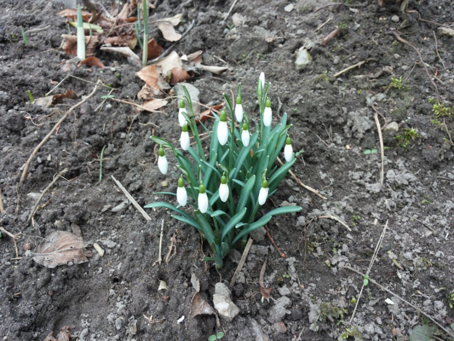 20150217_104623