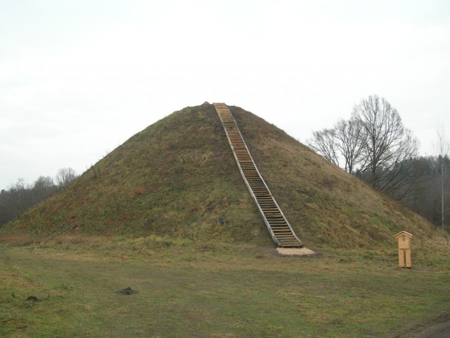 DSCN5772