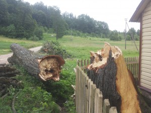 20160620_095821