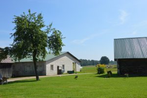 Keturakių ūkyje: ir kieme, ir tvarte ir garaže – pavyzdinė tvarka.