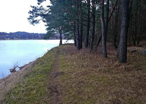 img-lrytas-lt2