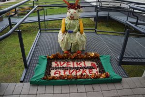 dsc08795